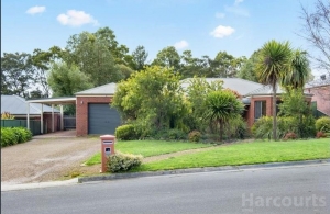 Mounds of potential in Mt Helen