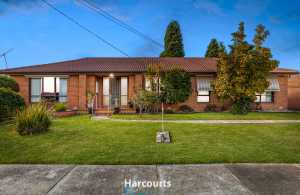 Lalor investment