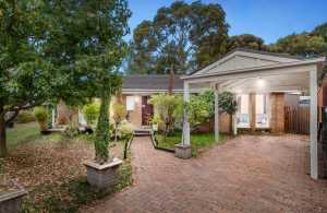 Lalor investment