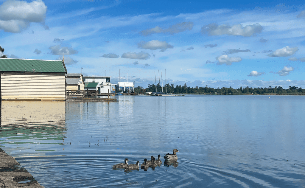 Lake Wendouree