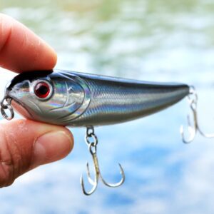 Fishing Lure