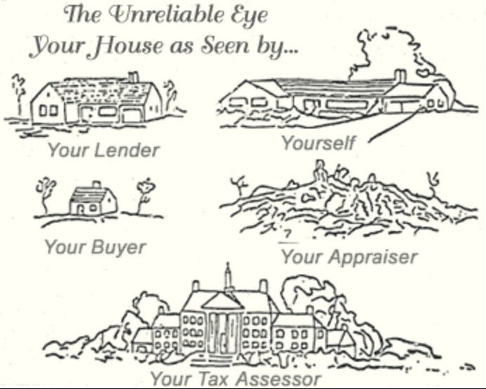 Valuation Cartoon