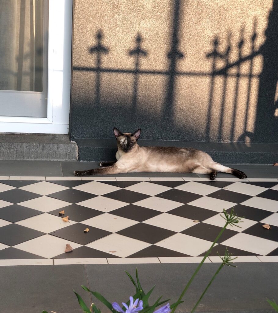 Lola